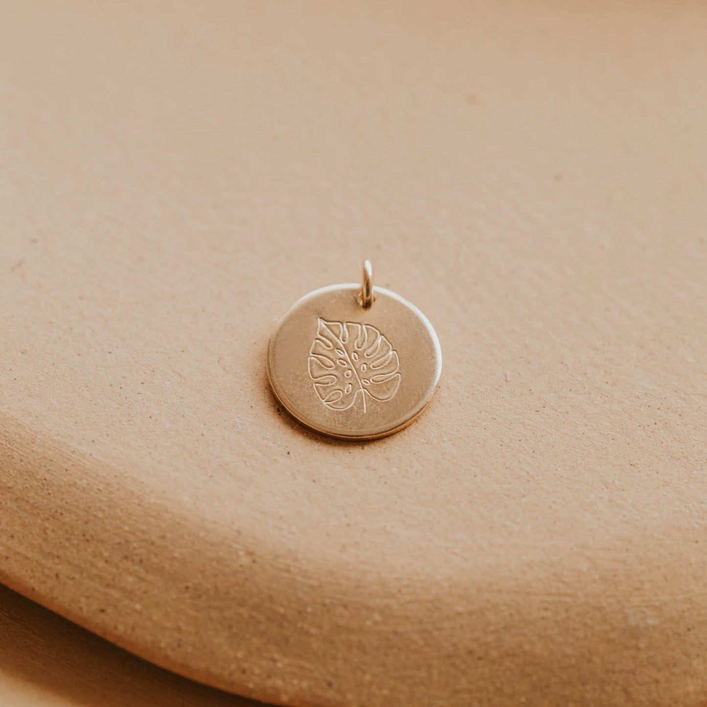 Monstera Charm