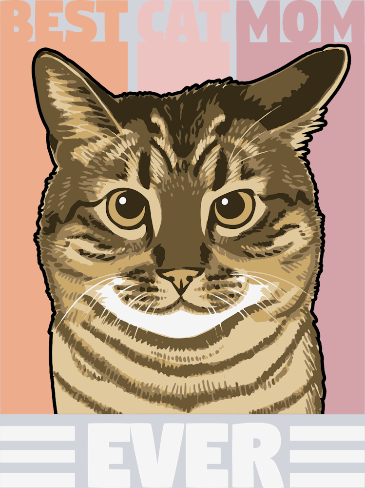 Best Cat Mom Ever Mothers Day - STK00545 (DTF Transfers)