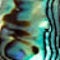 Abalone And Pearl Necklace