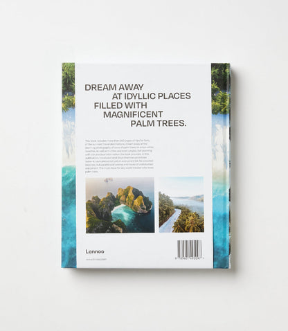 Palm Tree Destinations