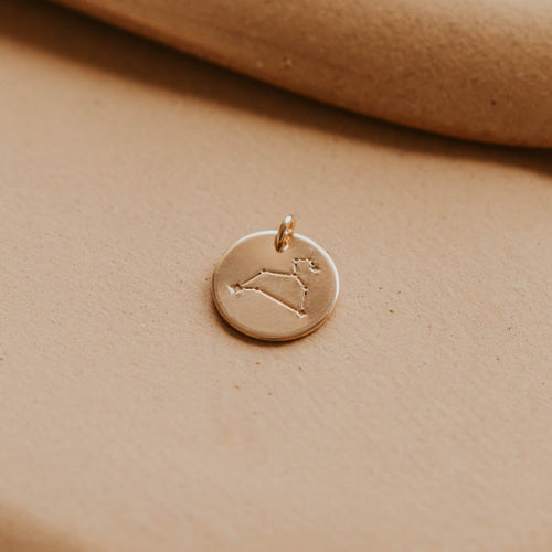 Leo Constellation Charm