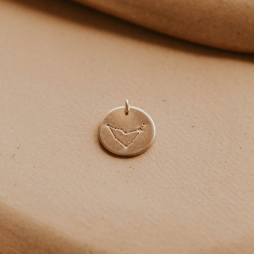 Capricorn Constellation Charm