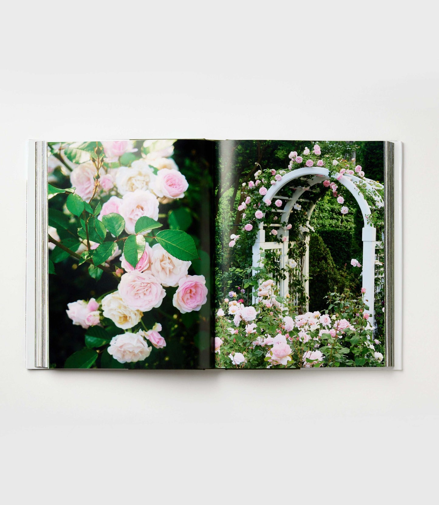 Glorious Gardens