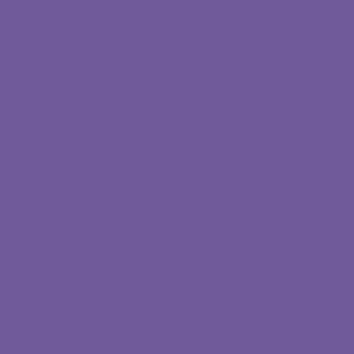 20" Medium Purple EasyWeed EcoStretch HTV