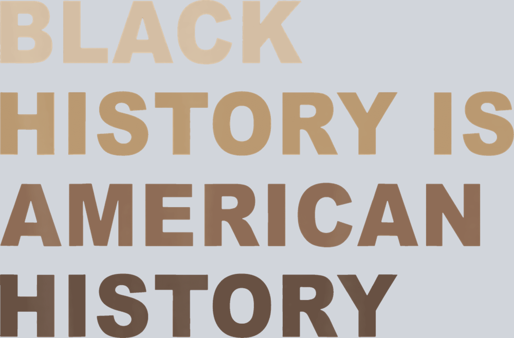Black History Is American History 22 - STK00718 (DTF Transfers)