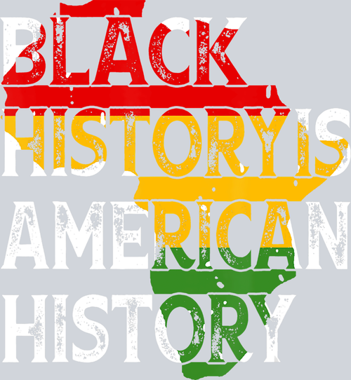 Black History Is American History 13 - STK00710 (DTF Transfers)